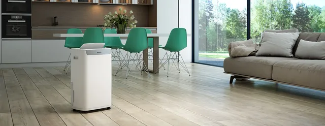 Olimpia Deumidificatore S1 20 P Splendid, Aquaria , Deumidificatore Portatile, Capacità 20 l / 24h, 